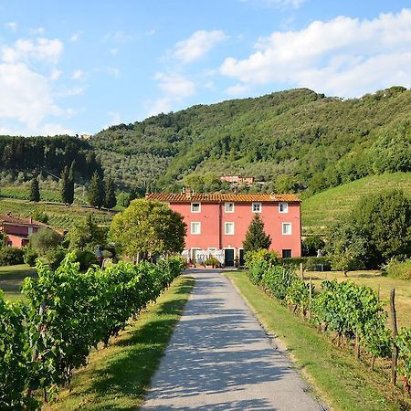 Agriturismo Le Murelle Lucca Eksteriør bilde