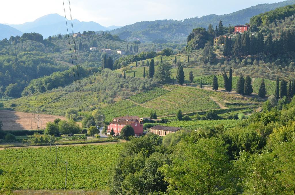 Agriturismo Le Murelle Lucca Eksteriør bilde
