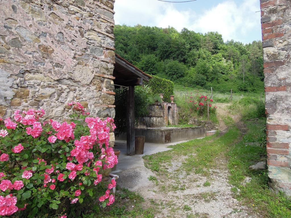 Agriturismo Le Murelle Lucca Eksteriør bilde