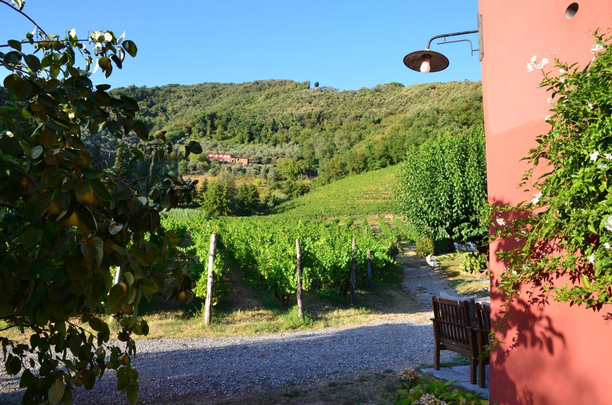 Agriturismo Le Murelle Lucca Eksteriør bilde