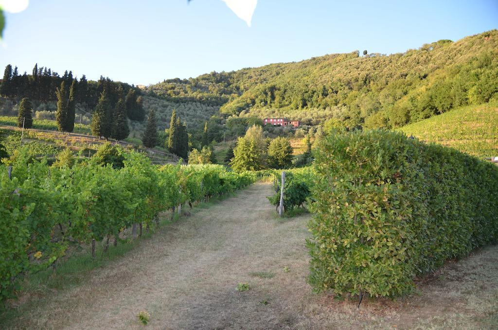 Agriturismo Le Murelle Lucca Eksteriør bilde